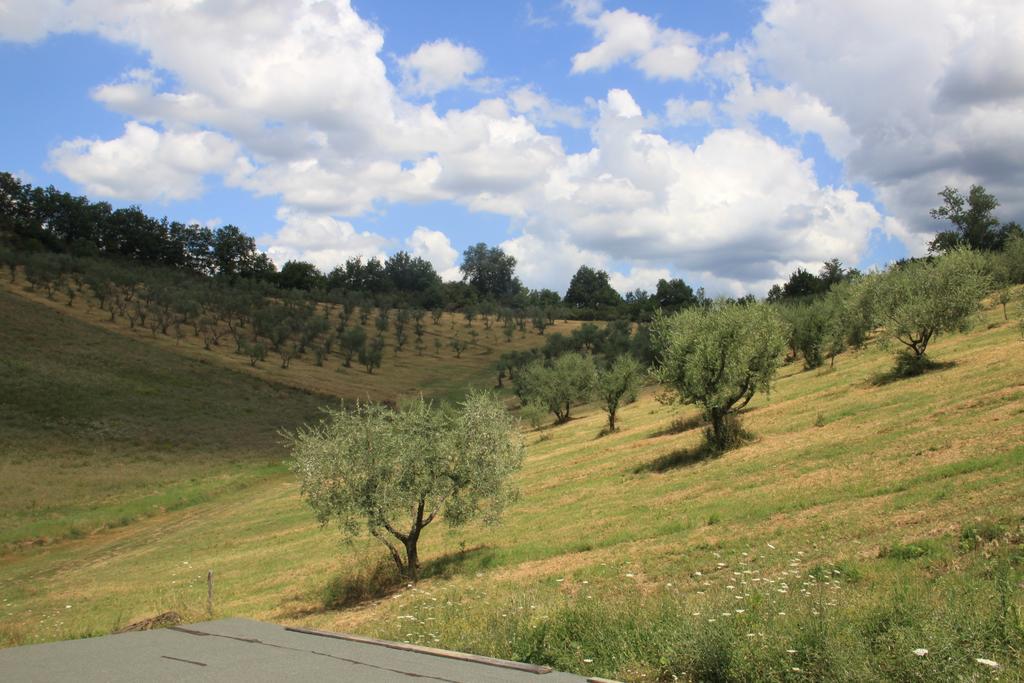 Agriturismo Le Buche Di Viesca Reggello Exterior foto